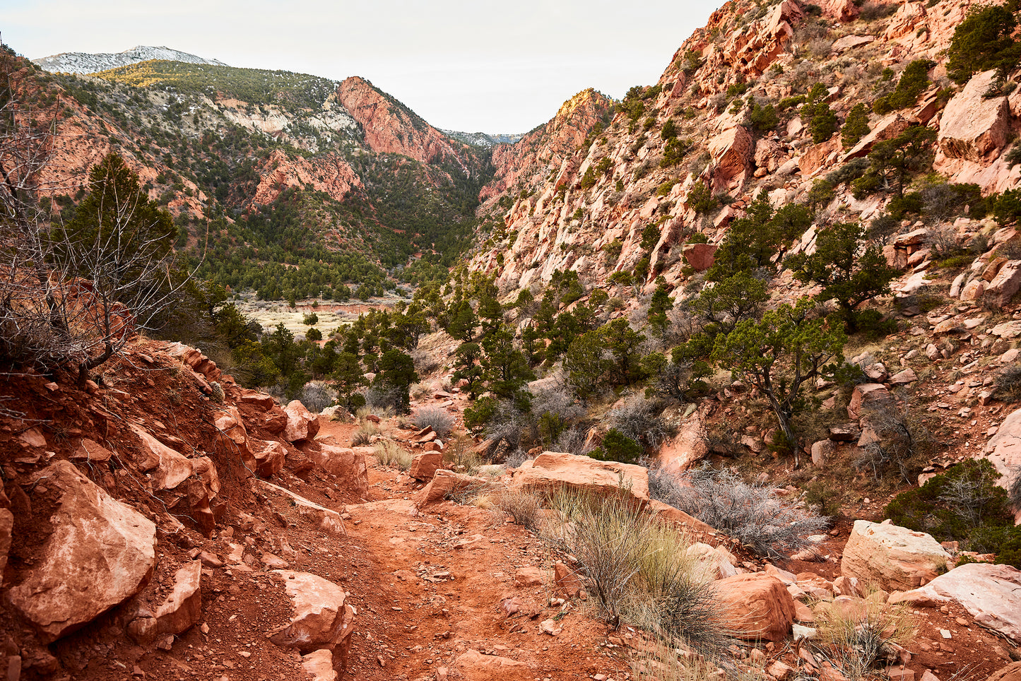Heare Brotherhood Retreat | Nov 12-14th, 2026, Cedar City, Utah