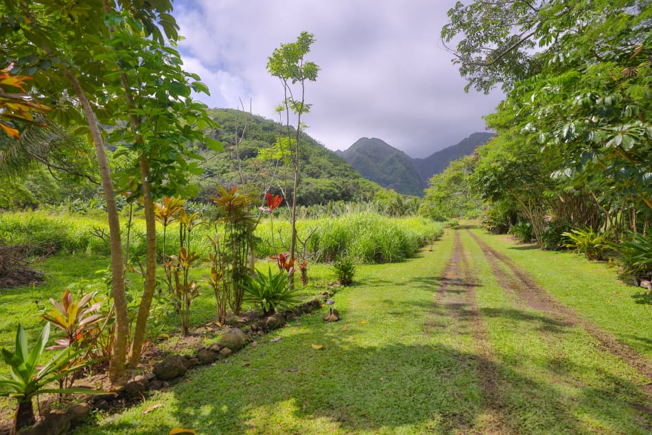 Heare Brotherhood Retreat | July 11-13th, 2024 @ O'ahu, Hawai'i