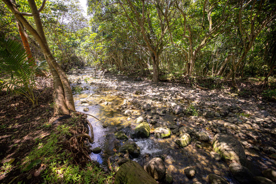 Heare Brotherhood Retreat | July 11-13th, 2024 @ O'ahu, Hawai'i